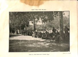 Rest for the weary. Smoko on a shady boulevarde in Ismailia, Egypt.