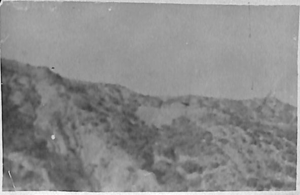 P2 Album 1 261.jpg