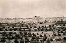 Golden Gate ouside looking from Mt Olives. Hills are terraced
