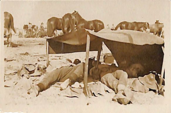 P3 Album 2 195.jpg