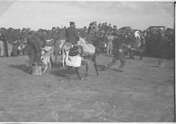 saddling up at the donkey races