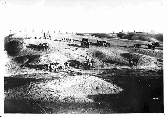 P2 Album 1 383.jpg