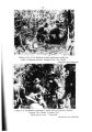 Thumbnail for version as of 16:13, 17 December 2023