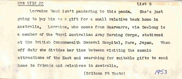 1953 Lorraine Read isn't pandering to this panda. She's just going to buy him as a gift for a small relative back home in Australia. Lorraine, who comes from Gnarwarre, via Geelong is a member of the Royal Australian Army Nursing Corps, stationed at the British Commonwealth General Hospital, Kure, Japan. When off duty she divides her time between visiting the scenic attractions of the East and searching for suitable gifts to send home to friends and relatives in Australia.