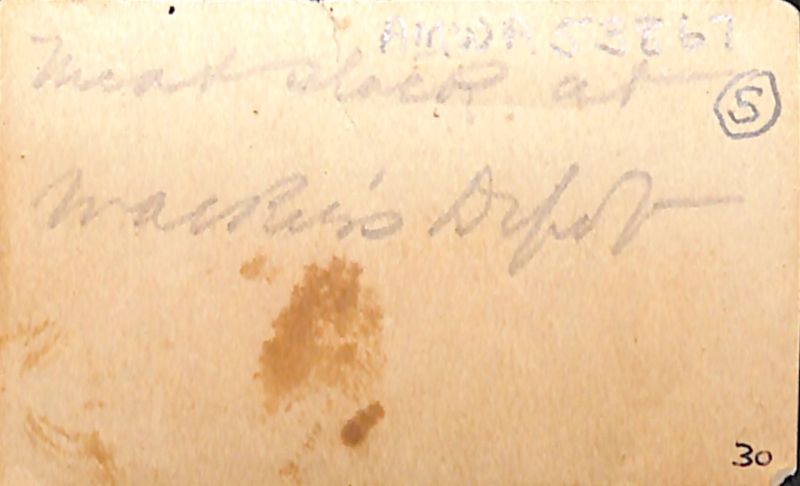 File:P3 Album 2 036.jpg