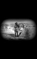 Thumbnail for version as of 12:11, 9 April 2024