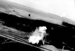 CD461 241.jpg