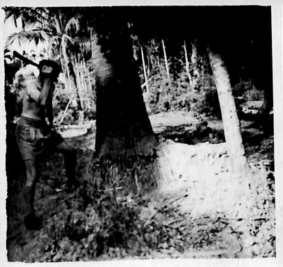 CD461 191.jpg