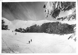 John Morley Campbell - WX6075 358.jpg